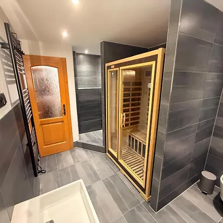Dvur Stran & Wellness Гостевой дом Карловы Вары