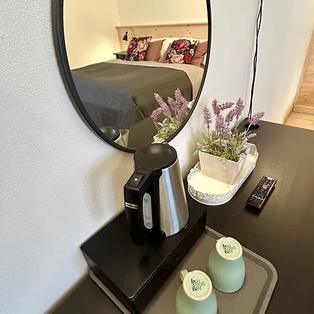 Гостевой дом Dvur Stran & Wellness
