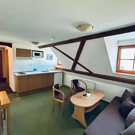 Dvur Stran & Wellness 3* 카를로비바리
