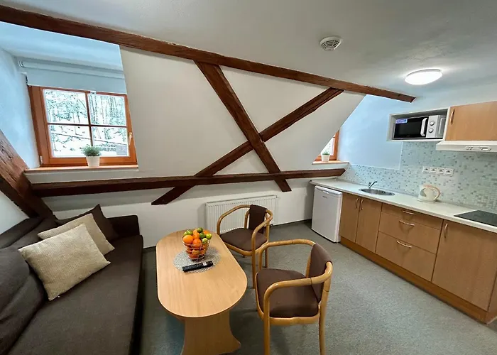 Casa de hóspedes Dvůr Stráň&wellness 3*